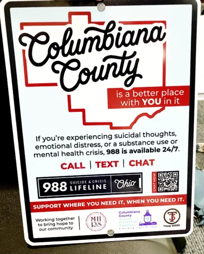 Permission sought to install suicide lifeline signs in Lisbon